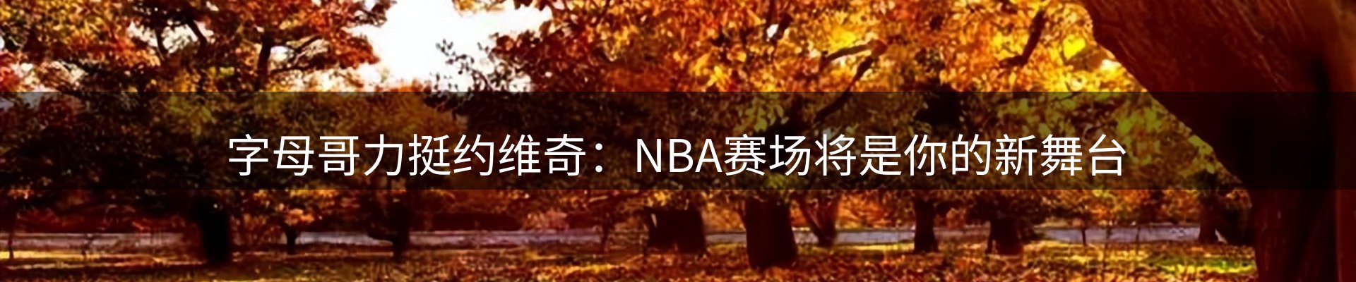 网站资讯